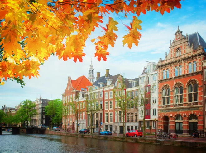 Leafy view by river