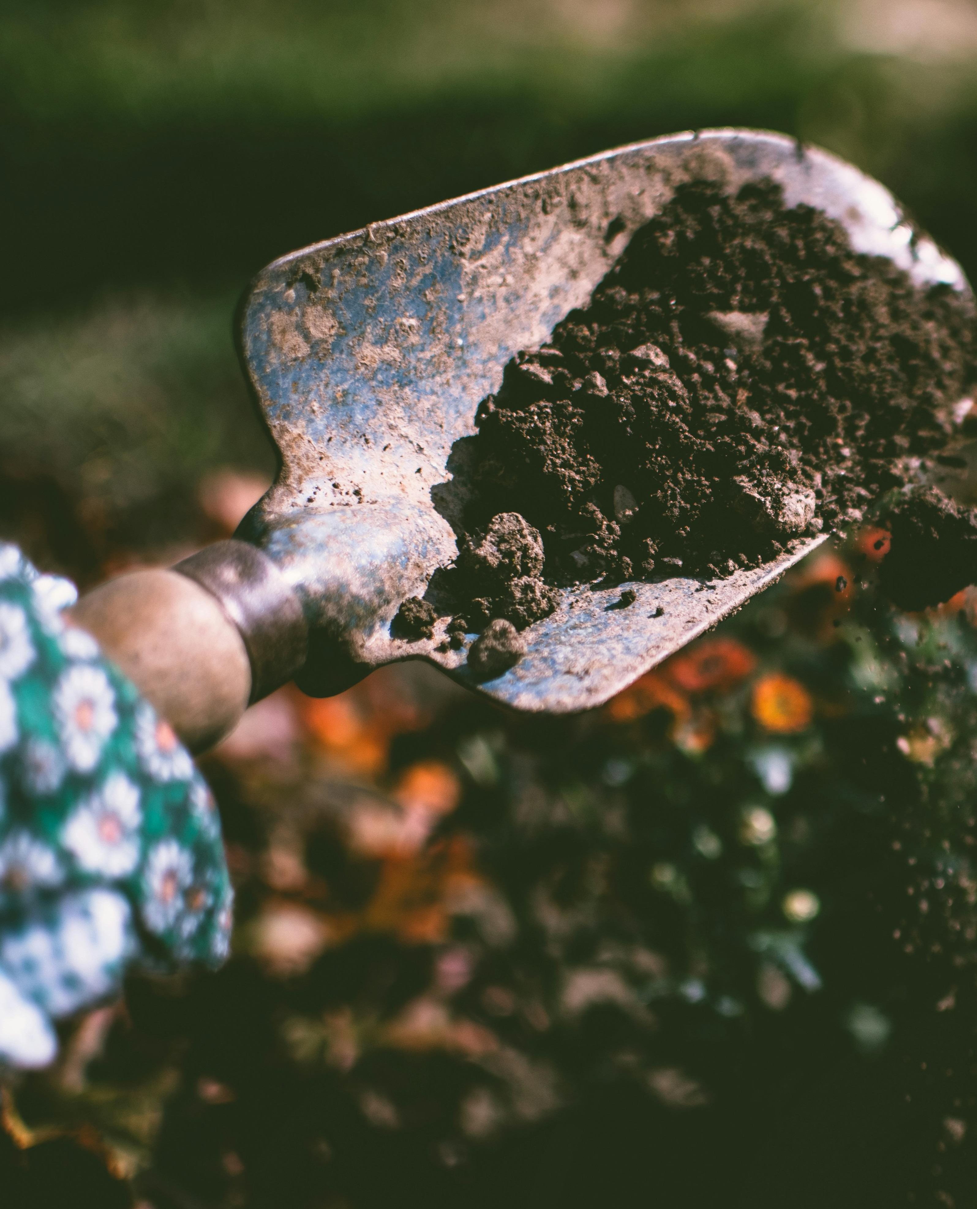 picture of a trowel being used for gardening